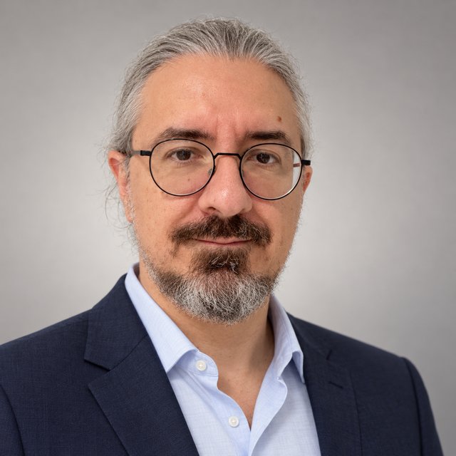 Silviu Preoteasa, principal — strategy, product, delivery